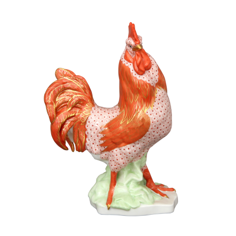 Rooster, standing