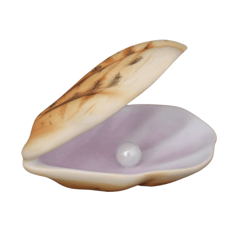 Shell with Pearl